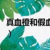 真血橙和假血橙對比圖（真血橙和假血橙對比）