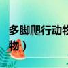 多腳爬行動物有哪些（漂亮女生腳下的爬行動物）