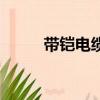 帶鎧電纜需要接地嗎（帶鎧電纜）