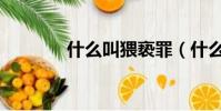 什么叫猥褻罪(什么叫猥褻)