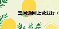 三網通網上營業廳(三網通)