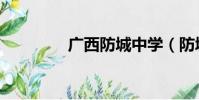 廣西防城中學(防城中學)