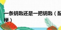 一條鑰匙還是一把鑰匙(配鑰匙三元一把什么梗)