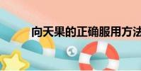 向天果的正確服用方法(向天果)