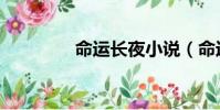 命運長夜小說(命運長夜)