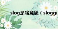 slog是啥意思(sloggi是什么意思)
