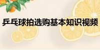 乒乓球拍選購基本知識視頻(乒乓球拍選購)