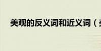 美觀的反義詞和近義詞(美觀的反義詞)
