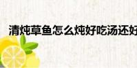 清燉草魚怎么燉好吃湯還好喝(清燉草魚)