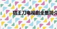 獵王刀電視劇全集簡介(獵王刀)
