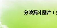 分液漏斗圖片(分液)