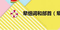 輩組詞和部首(輩組詞)