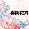 喜陰花卉有哪些室外地栽（喜陰花）