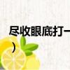 盡收眼底打一成語謎底是（盡收眼底打一成語）