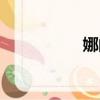 娜的拼音（妍的拼音）