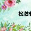 松滋市屬于哪個市（松滋市）