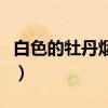 白色的牡丹煙多少錢（白色牡丹煙多少錢一包）