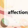 affection的用法及短語（affection）