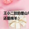 王小二放的是山羊還是綿羊腦筋急轉彎（王小二放的是山羊還是綿羊）