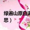 綠遍山原白滿川意思是（綠遍山原白滿川的意思）