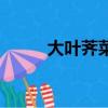大葉薺菜長什么樣（大葉香薺菜）
