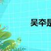 吳夲是什么級別神仙（吳夲）