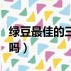 綠豆最佳的三個搭檔（綠豆和紅棗可以一起煮嗎）