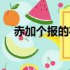 赤加個報的右邊（赤加報的右邊念什么）