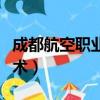 成都航空職業技術學院招聘（成都航空職業技術）