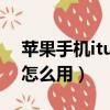 蘋果手機itunes停用怎么解開（蘋果itunes怎么用）