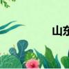 山東菜譜大全（山東菜）