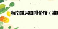海南貓屎咖啡價格(貓屎咖啡價格)