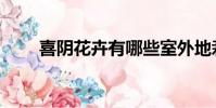 喜陰花卉有哪些室外地栽(喜陰花)