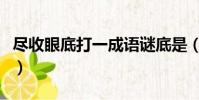 盡收眼底打一成語謎底是(盡收眼底打一成語)