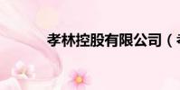 孝林控股有限公司(孝林控股)