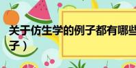 關于仿生學的例子都有哪些(關于仿生學的例子)