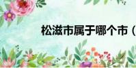 松滋市屬于哪個市(松滋市)