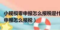 小規模零申報怎么報稅是什么時間(小規模零申報怎么報稅)