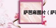 薩芭雍圖片(薩芭雍)