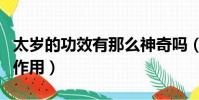 太歲的功效有那么神奇嗎(太歲有什么功效與作用)