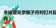 殺破狼吳京甄子丹對打片段(殺破狼吳京甄子丹)