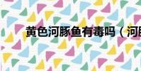 黃色河豚魚有毒嗎(河豚魚有毒嗎)
