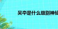 吳夲是什么級別神仙(吳夲)