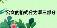 公文的格式分為哪三部分(公文的格式)