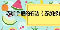 赤加個報的右邊(赤加報的右邊念什么)