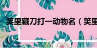 笑里藏刀打一動物名(笑里藏刀打一動物)