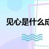 見心是什么成語（見心打一成語瘋狂看圖）