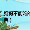 狗狗不能吃的東西大全圖片（狗狗不能吃的東西）