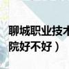 聊城職業技術學院算大學嗎（聊城職業技術學院好不好）