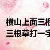 橫山上面三根草打一字謎加一個口（橫山上面三根草打一字）